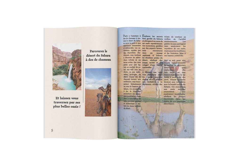Magazine page 5/6