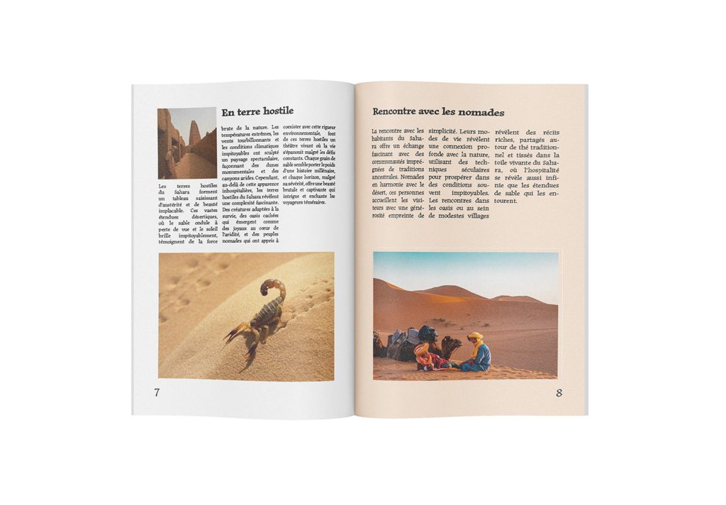 Magazine page 7/8